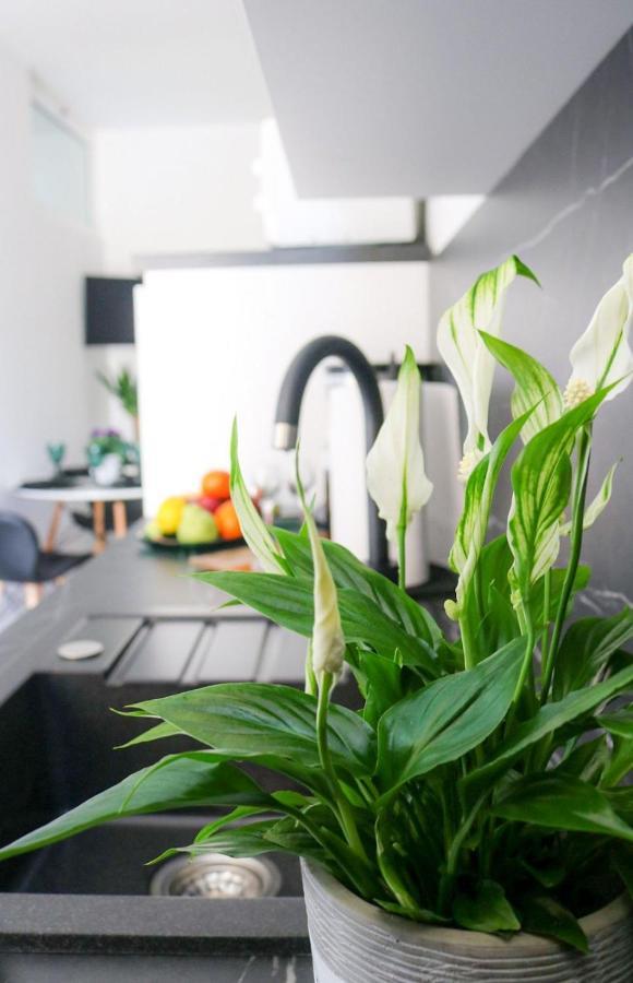 Cosmo Apartment Dubrovnik Bagian luar foto